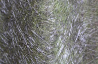 Llanerchymedd fibreglass roof work